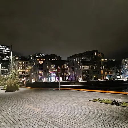 Bjorvika *